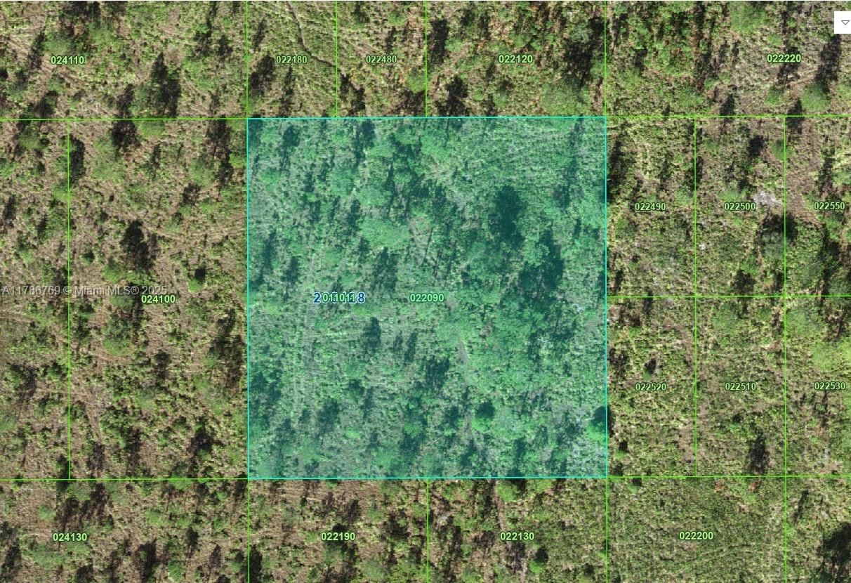 Real estate property located at 0 0, Polk, Not In Subdivision, Frostproof, FL