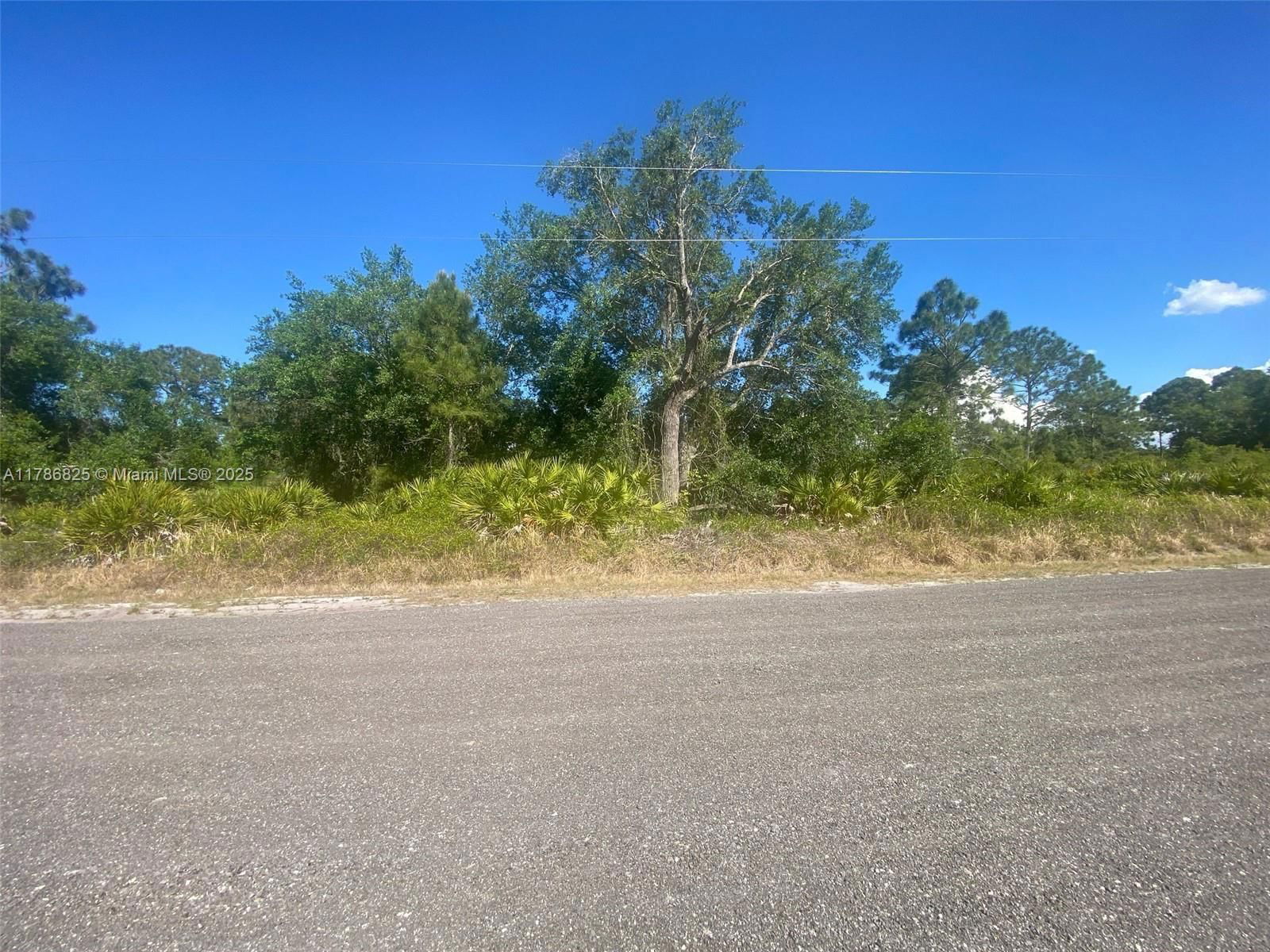 Real estate property located at 565 S Jasmine Street, Hendry, Montura Ranch Estates, Clewiston, FL