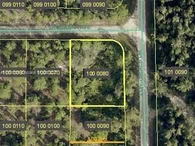 Real estate property located at 301 ROSANNA AVE, Lee, Other Geographic Area (out Of Area Only), Lehigh Acres, FL