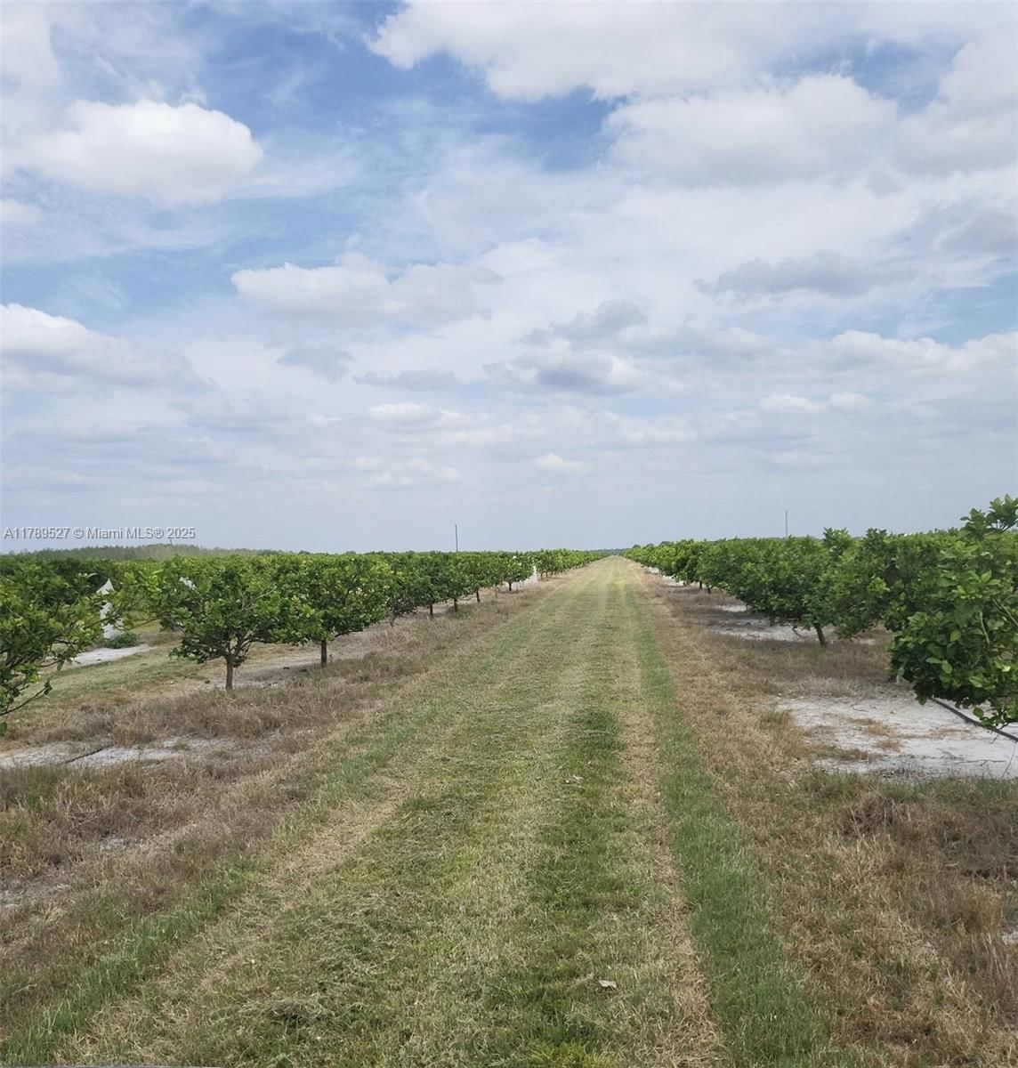 Real estate property located at 40 SE Highway 31, Other, Other Geographic Area (out Of Area Only), Other City - In The State Of Florida, FL