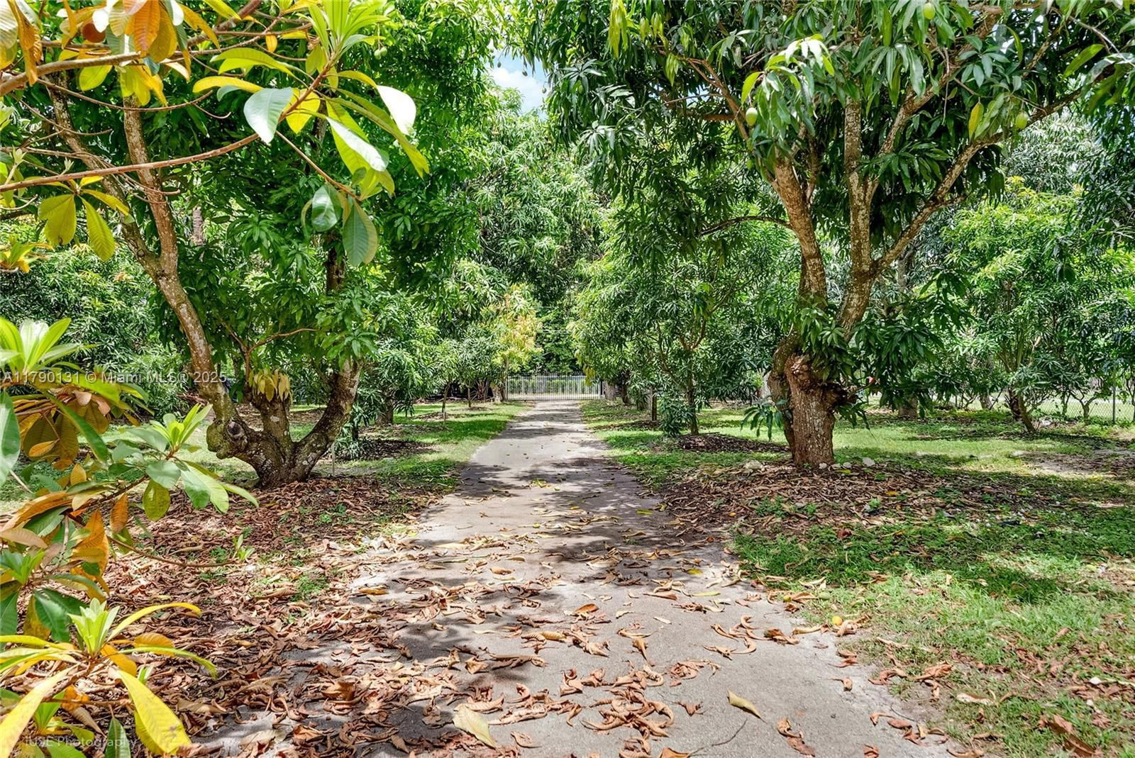 Real estate property located at 17450 192nd St, Miami-dade, Un-subdivided, Miami, FL