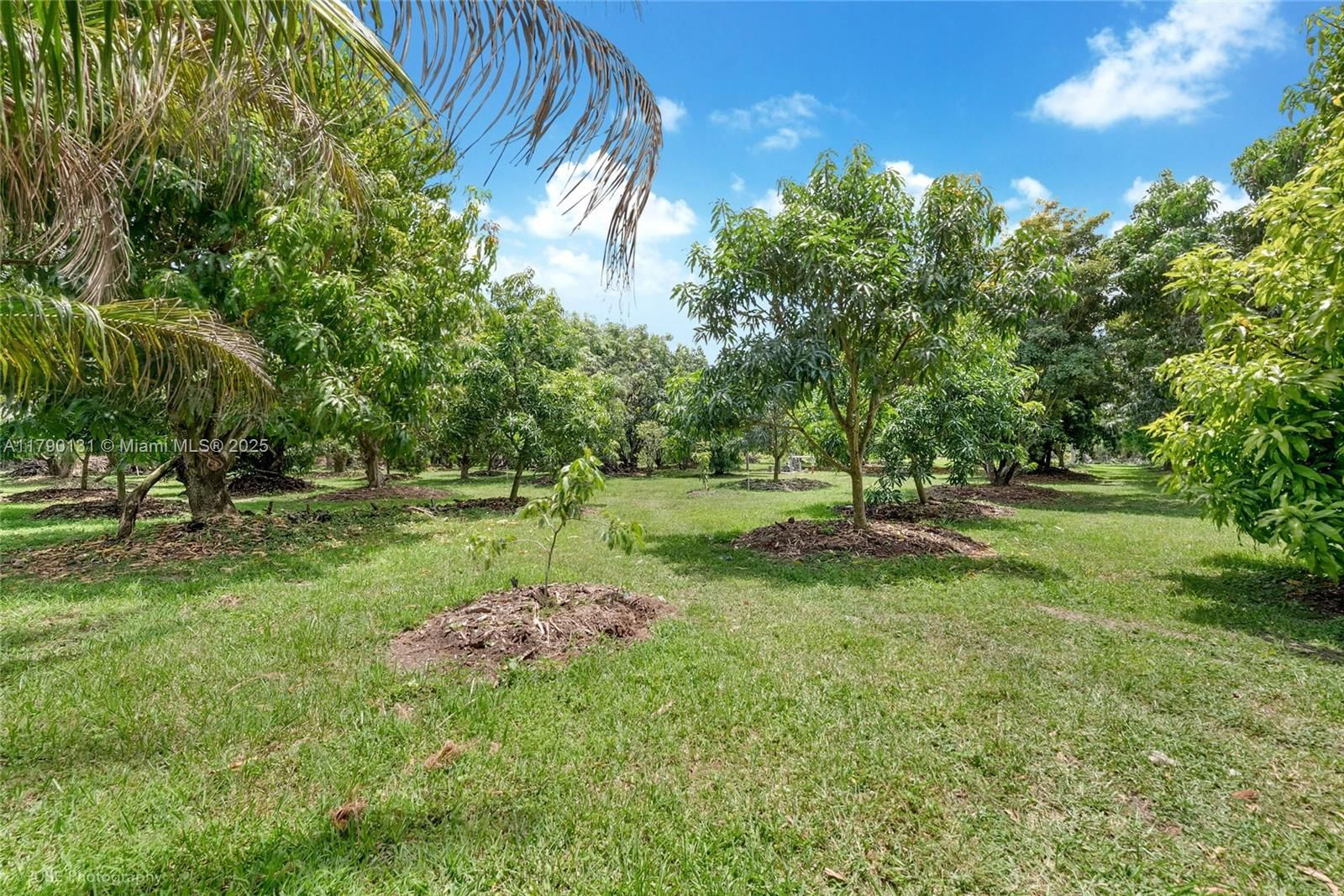 Real estate property located at 17450 192nd St, Miami-dade, Un-subdivided, Miami, FL