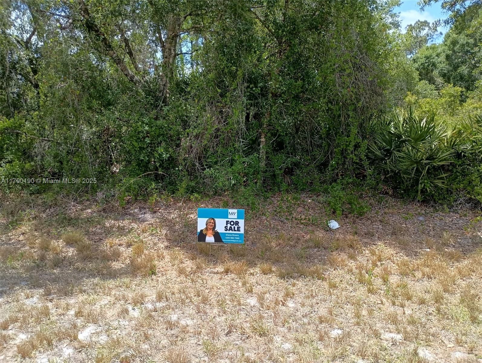 Real estate property located at 640 s shetland st, Hendry, Montura Ranches, Clewiston, FL