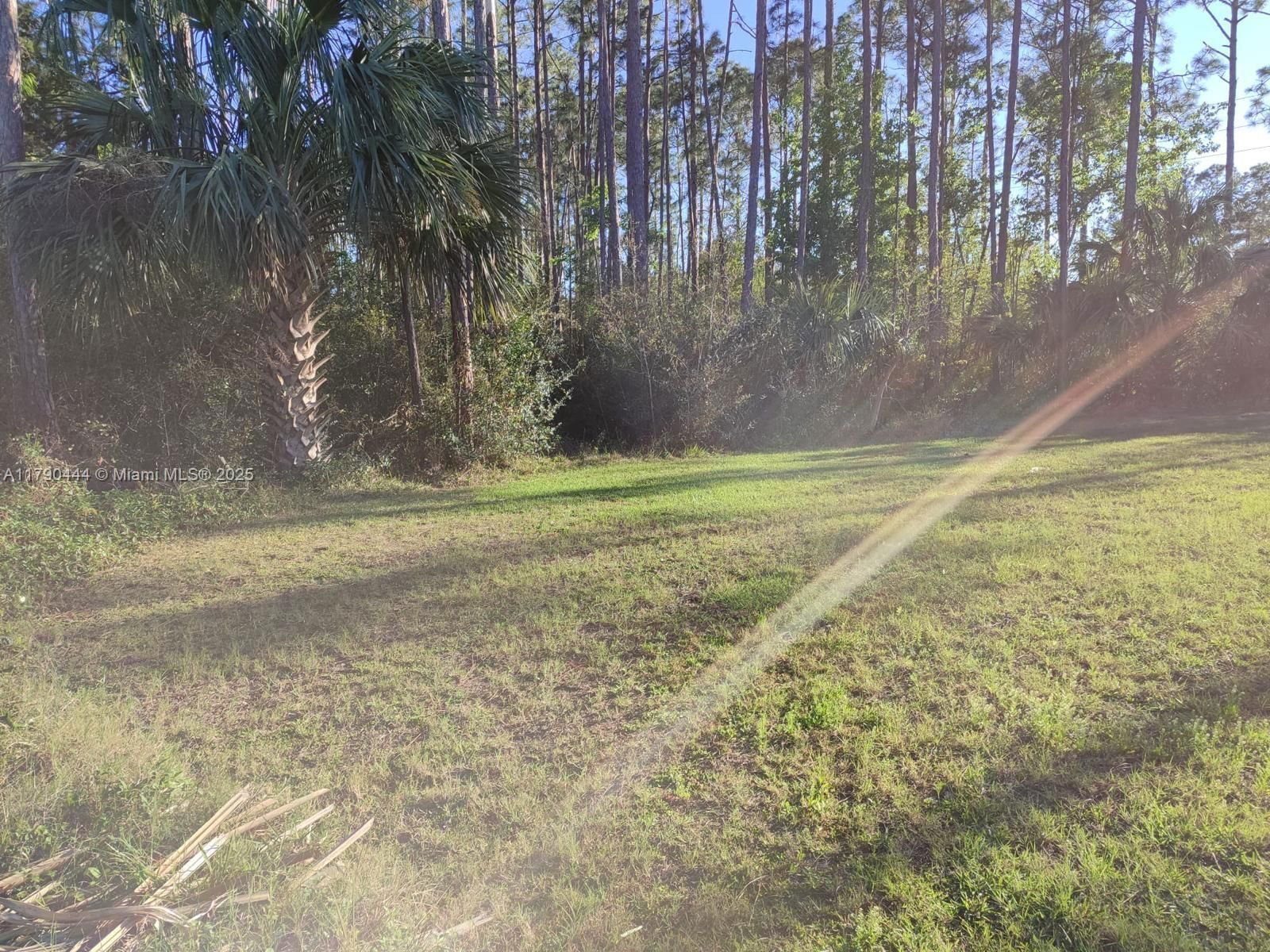 Real estate property located at 4 Serra CT, Flagler, Palm Coast, Palm Coast, FL