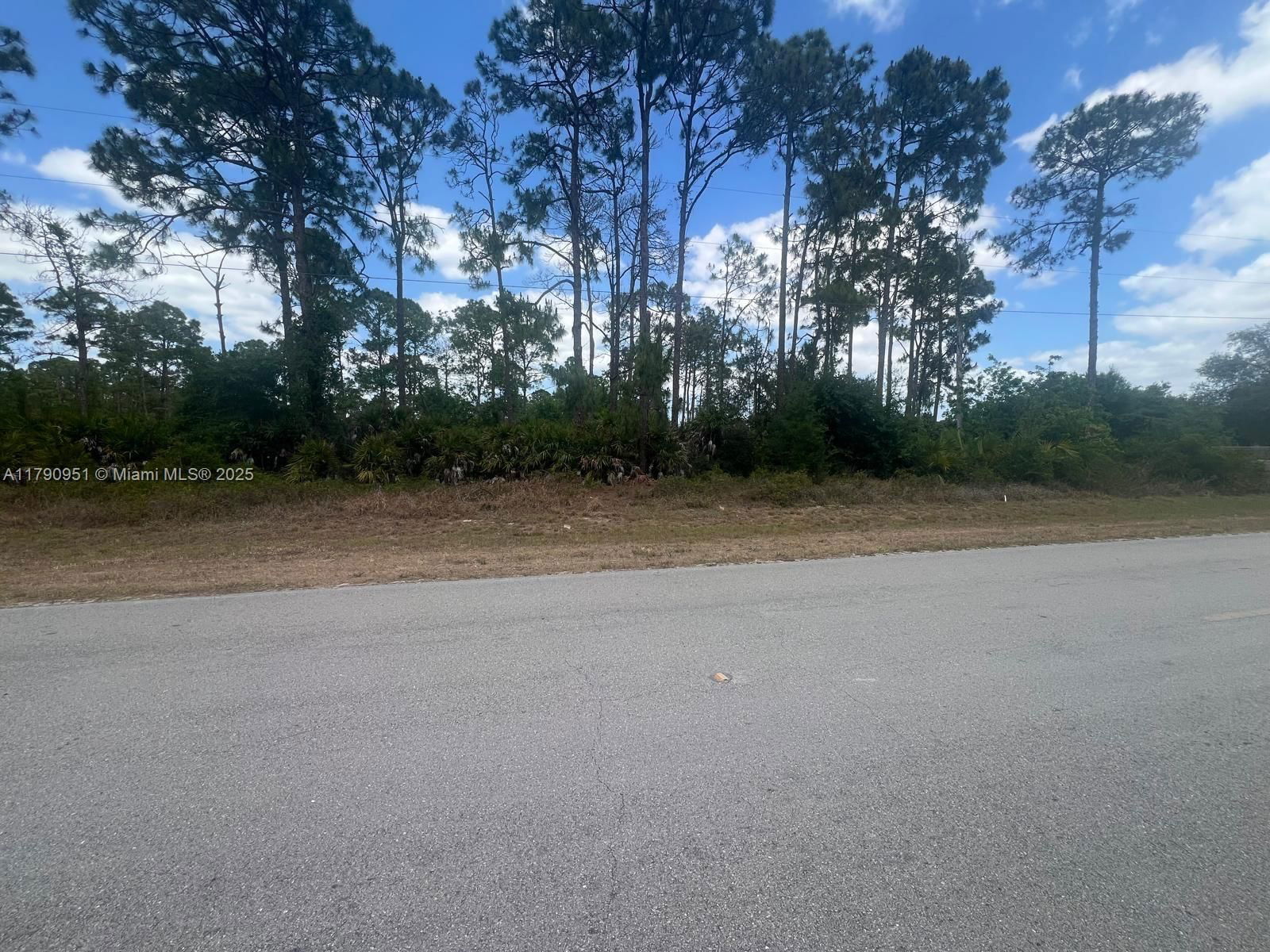 Real estate property located at 581 Appaloosa, Hendry, Montura South Half, Clewiston, FL