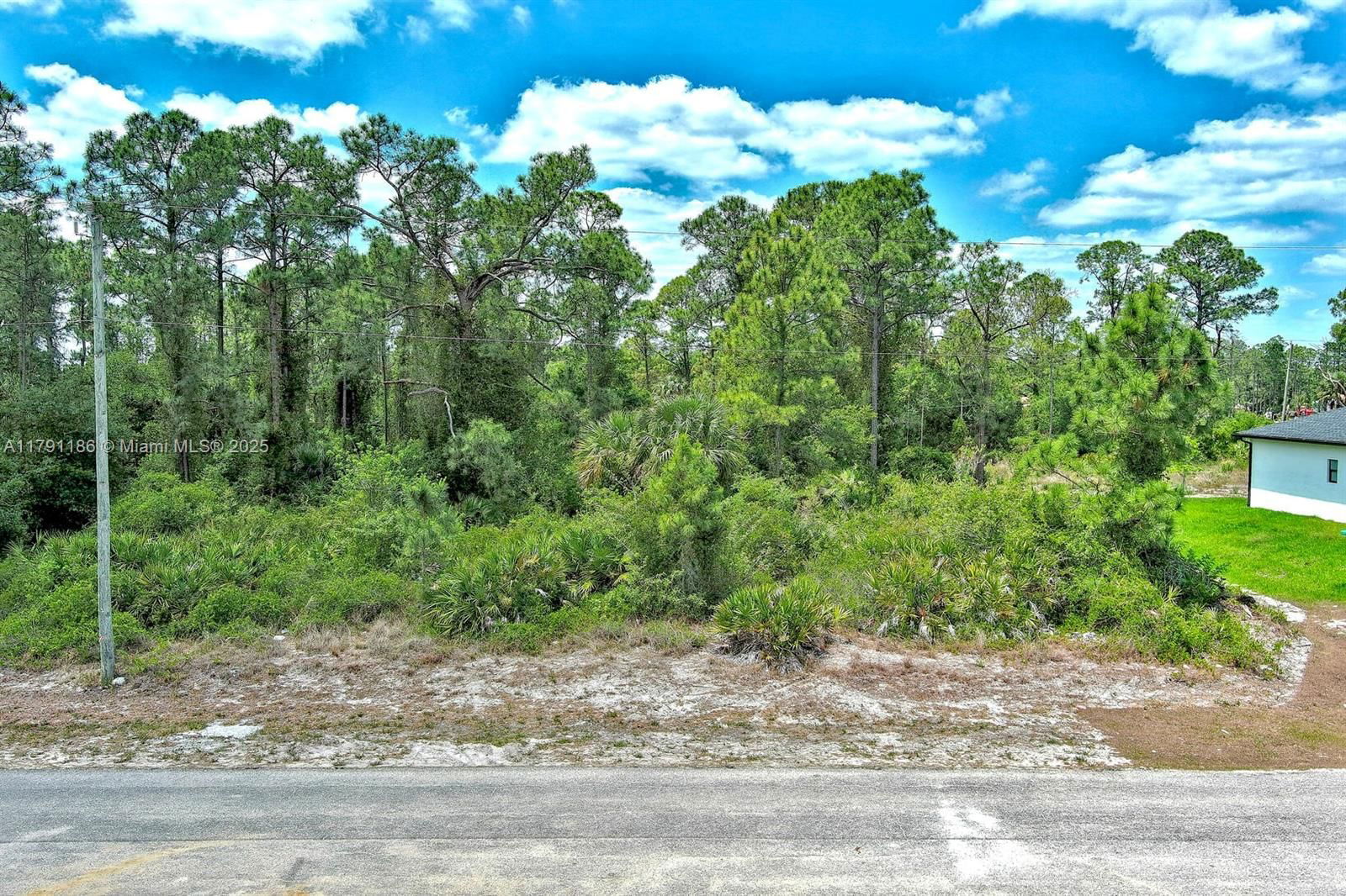 Real estate property located at 1209 Jefferson Ave, Lee, Lehigh Acres, Lehigh Acres, FL