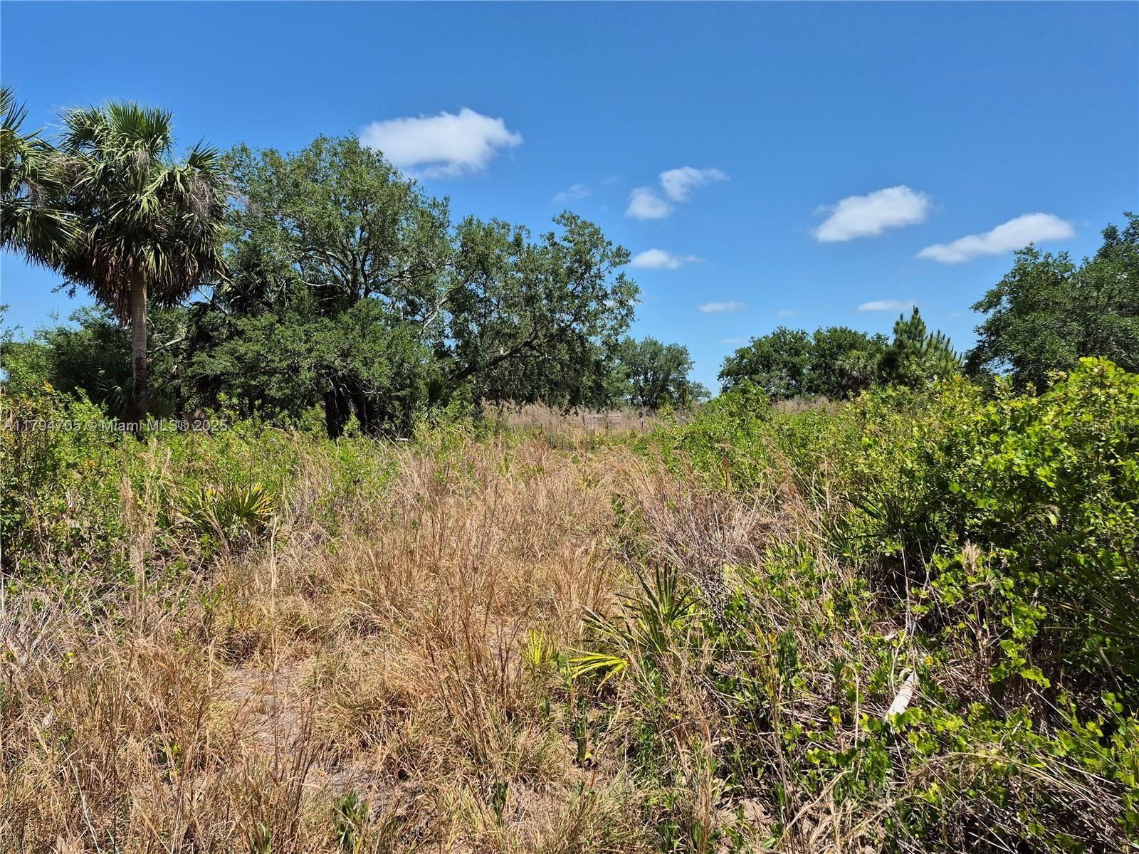 Real estate property located at 17763 310th Street, Okeechobee, Viking, Okeechobee, FL