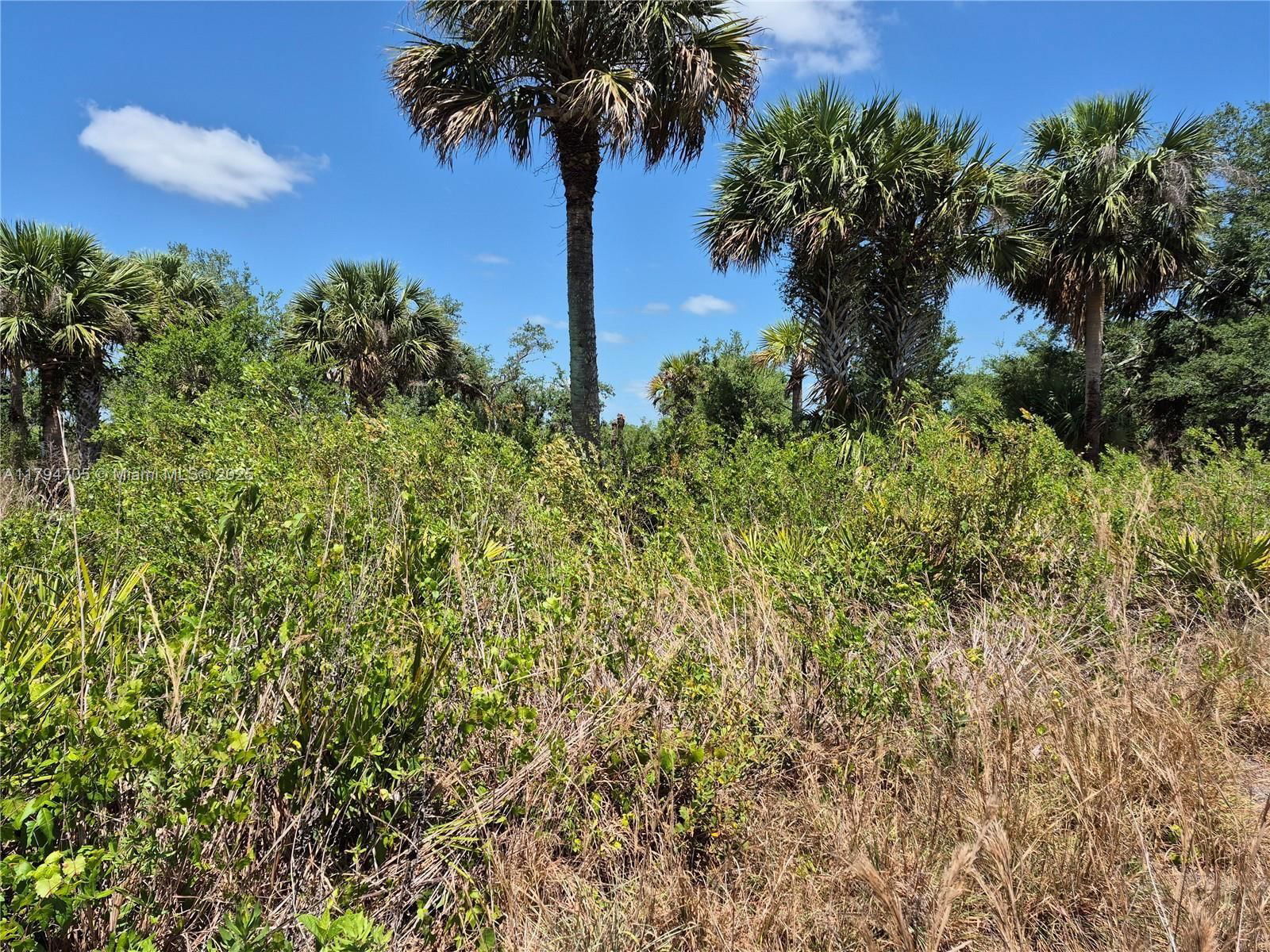 Real estate property located at 17763 310th Street, Okeechobee, Viking, Okeechobee, FL