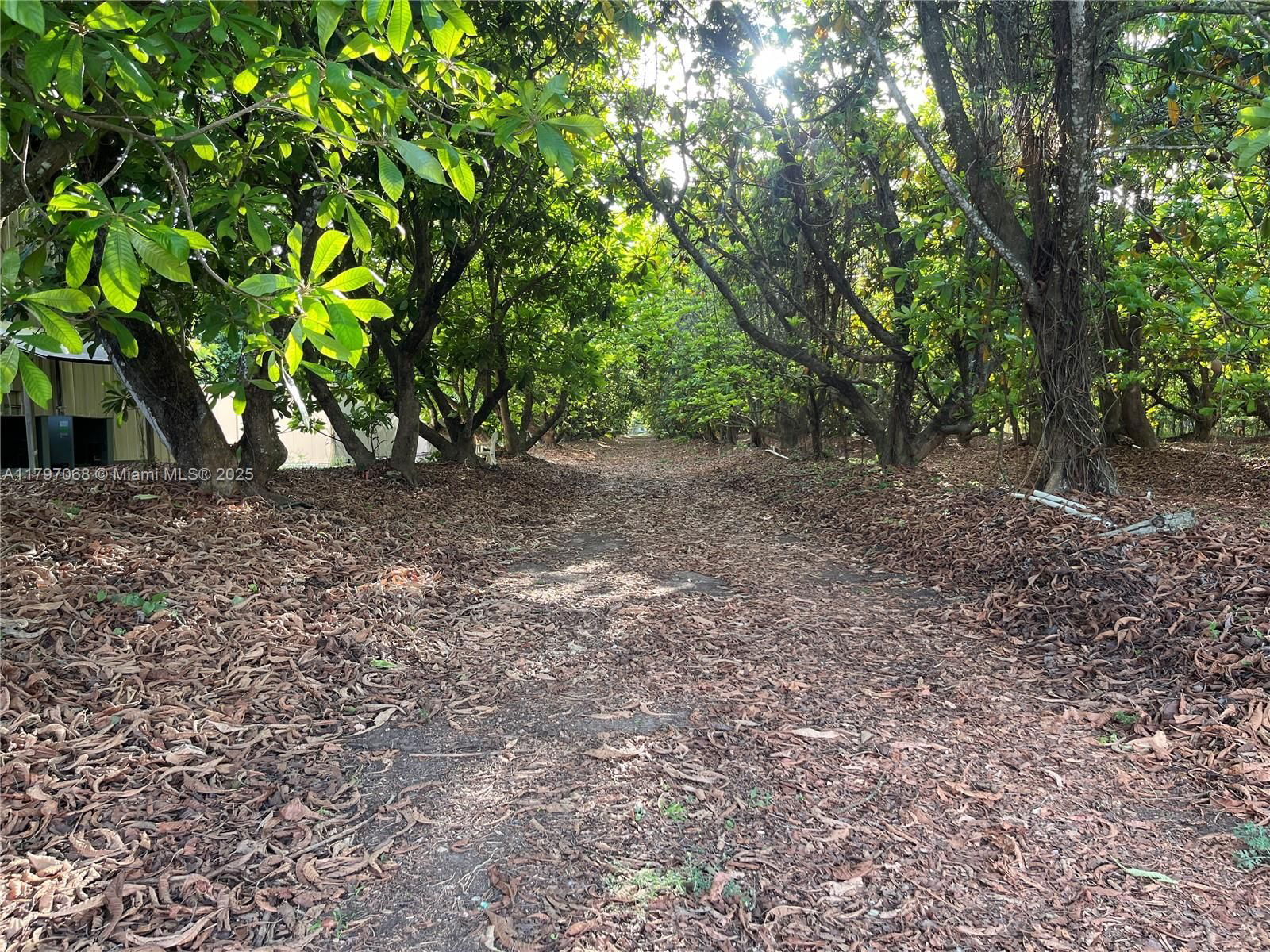 Real estate property located at 19700 188th St, Miami-dade, Redland Agri 11.71 Acres, Miami, FL