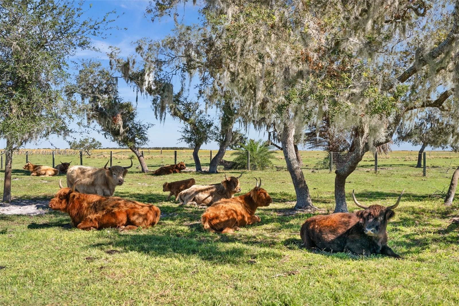 Real estate property located at 2650 Scrubpens Rd, Highlands, 560.00 - Rural Tracts In, Sebring, FL