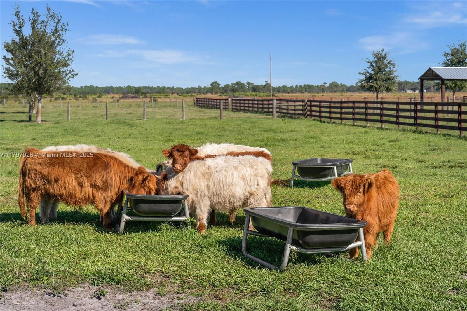 Real estate property located at 2650 Scrubpens Rd, Highlands, 560.00 - Rural Tracts In, Sebring, FL