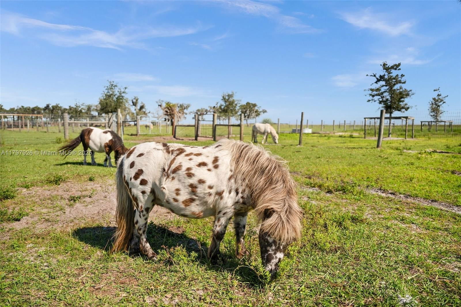 Real estate property located at 2650 Scrubpens Rd, Highlands, 560.00 - Rural Tracts In, Sebring, FL