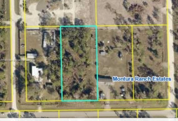 Real estate property located at 557 Avenida Del Sur, Hendry, Montura Ranch Est 1 St S/d, Clewiston, FL
