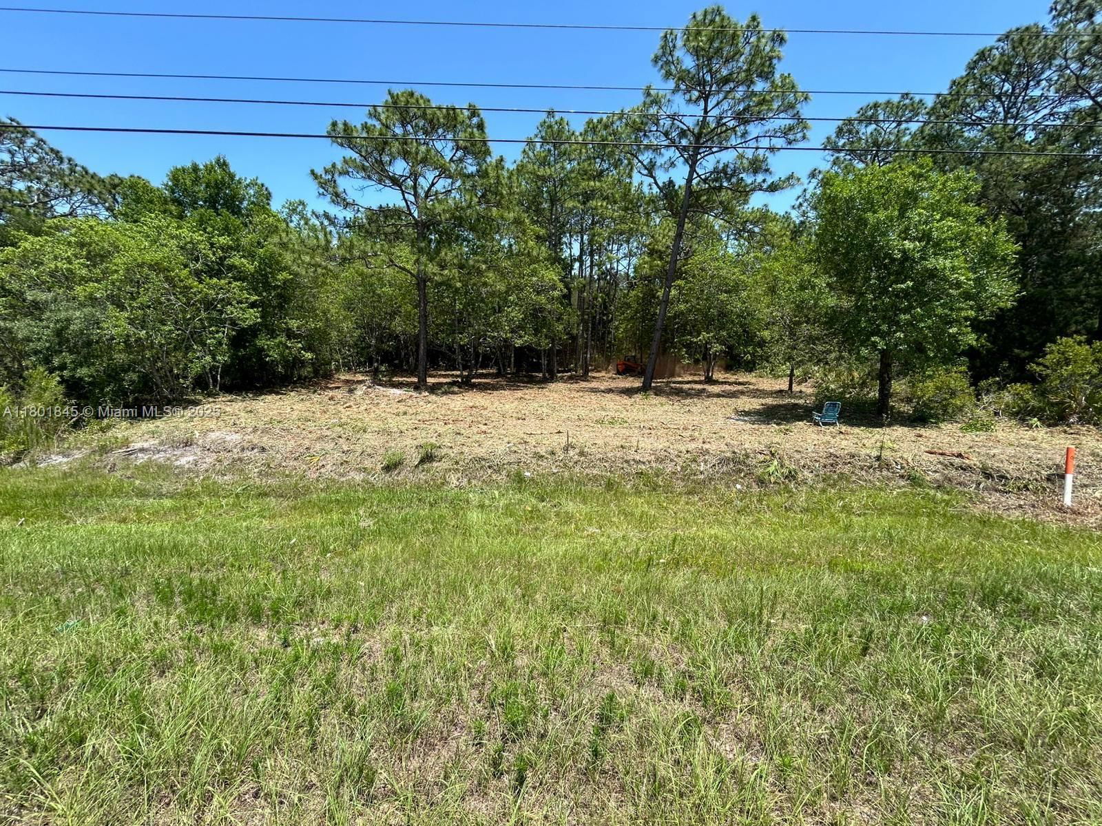 Real estate property located at 11287 Suncoast BLVD, Citrus, Other Geographic Area (out Of Area Only), Other City - In The State Of Florida, FL