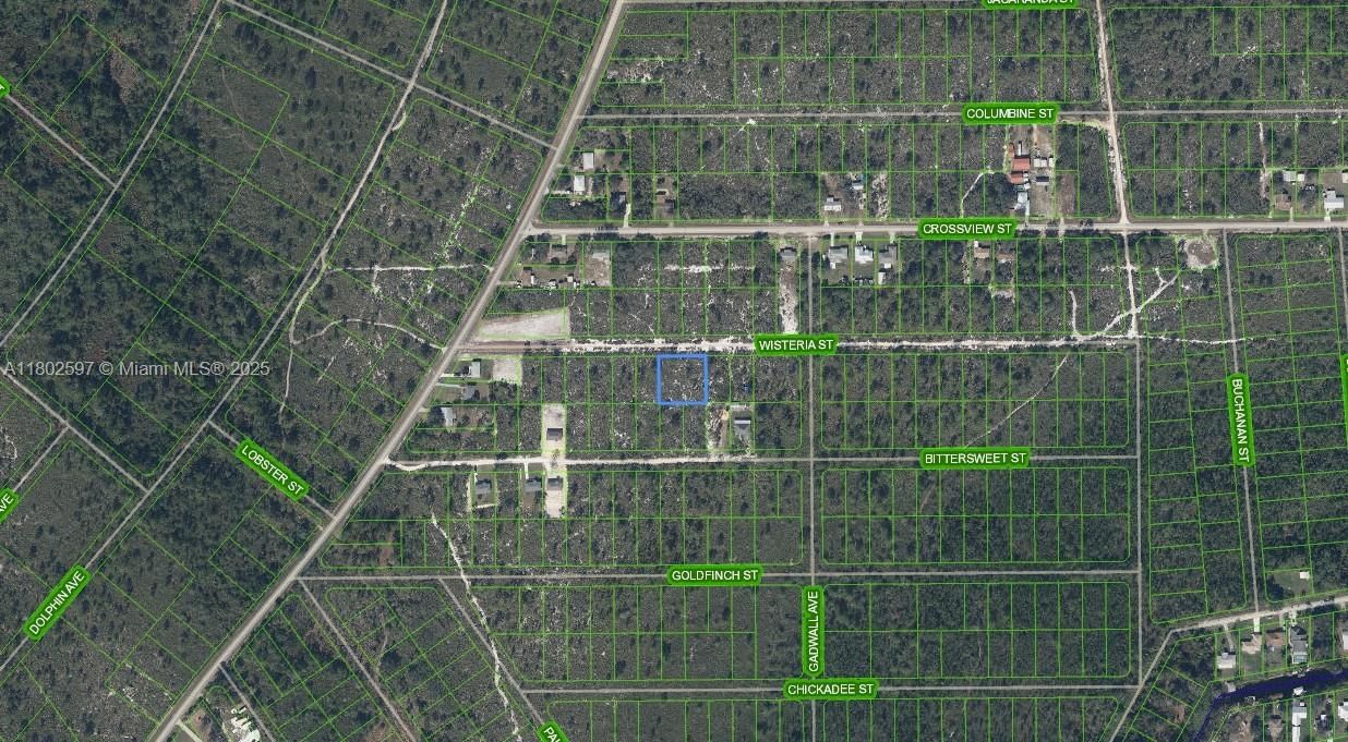 Real estate property located at 1415 Wisteria Street, Highlands, Highlands Park Est, Lake Placid, FL
