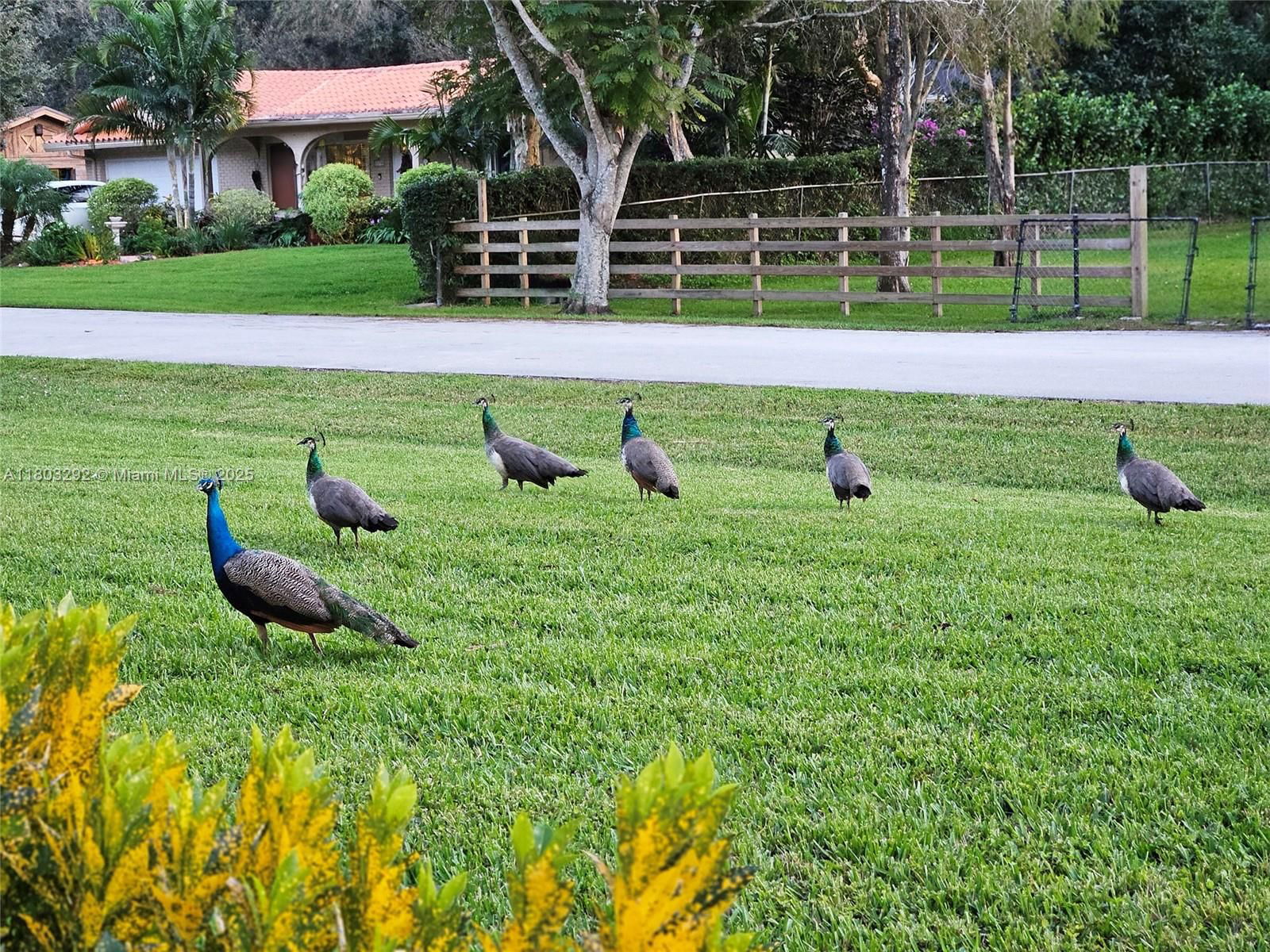 Real estate property located at 11795 2nd St, Broward, Plantation Acres, Plantation, FL
