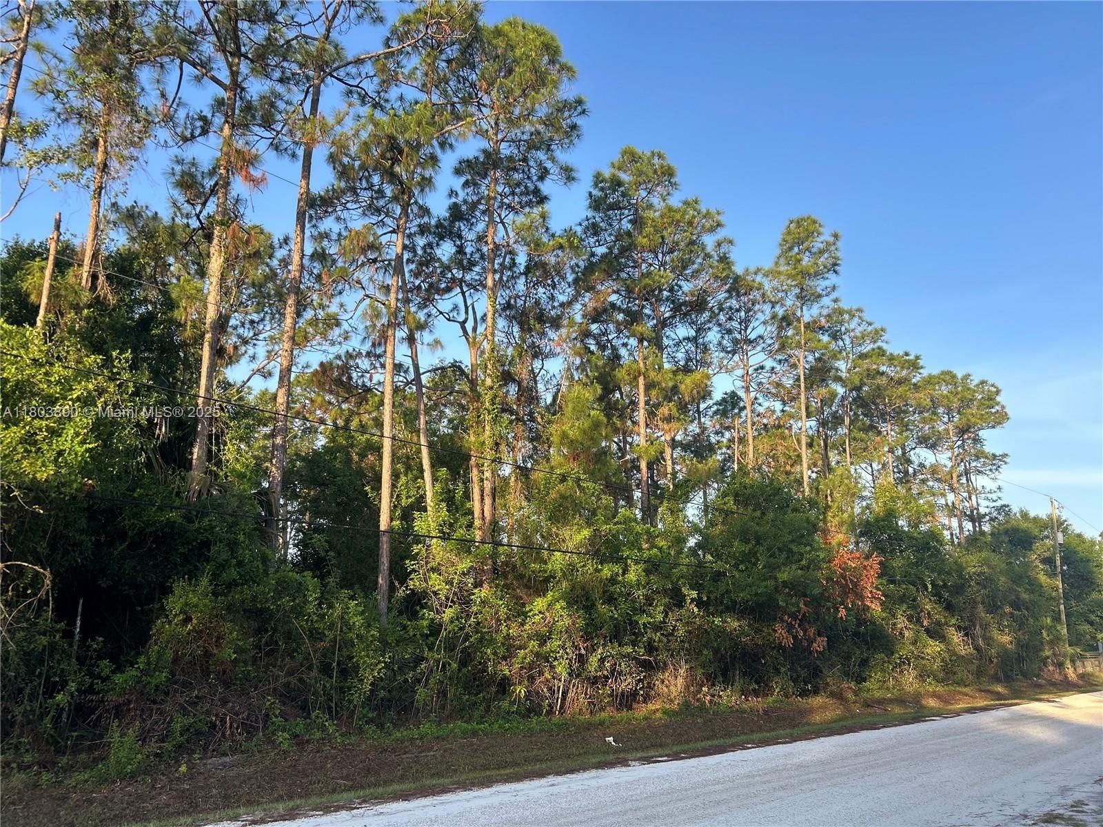 Real estate property located at 17354 75th Pl N, Palm Beach, The Acreage, Other, FL