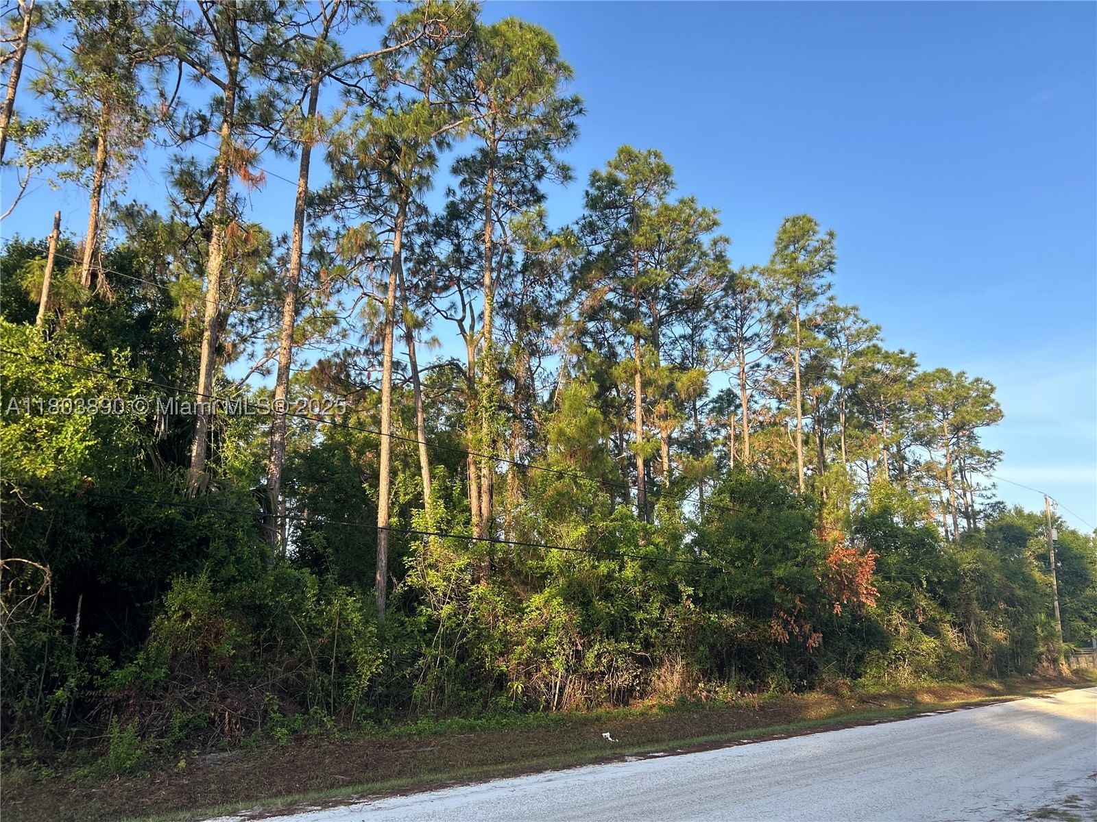 Real estate property located at 17354 75th Pl N, Palm Beach, The Acreage, Loxahatchee, FL