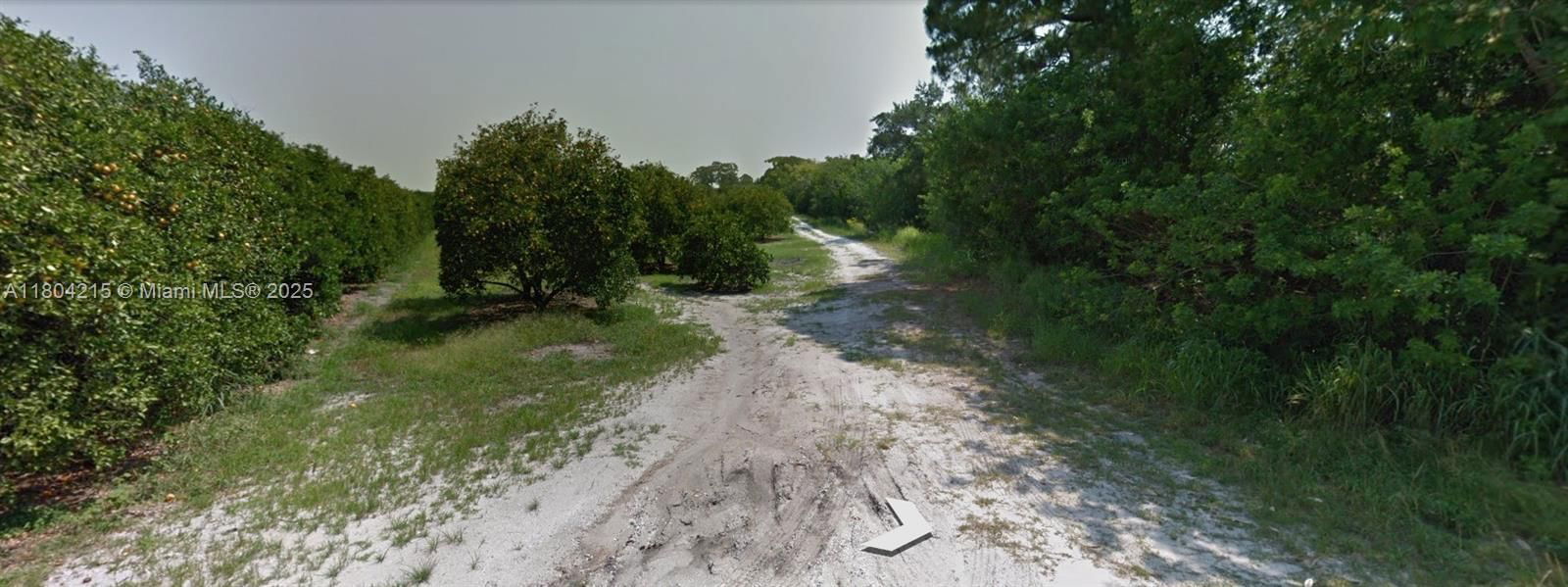 Real estate property located at 244 Jamison Avenue, Highlands, Placid Ridge, Lake Placid, FL
