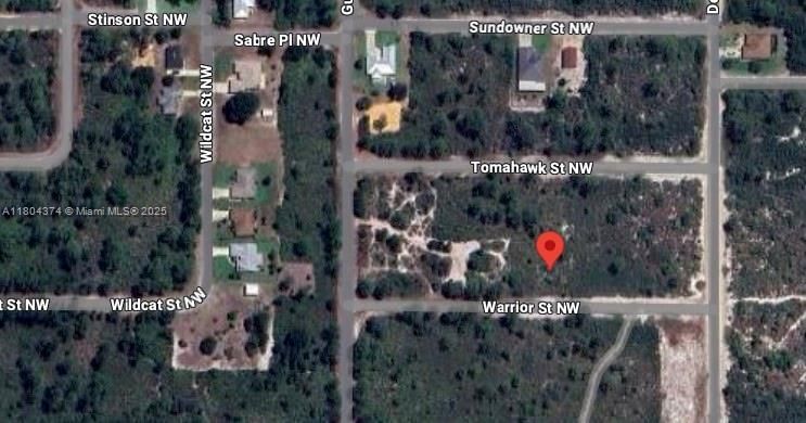 Real estate property located at 217 Warrior St, Highlands, Placid Lakes Sec 19, Lake Placid, FL