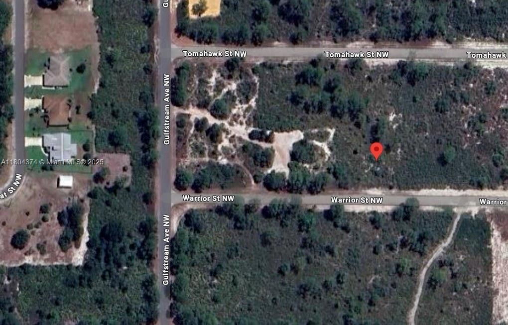 Real estate property located at 217 Warrior St, Highlands, Placid Lakes Sec 19, Lake Placid, FL