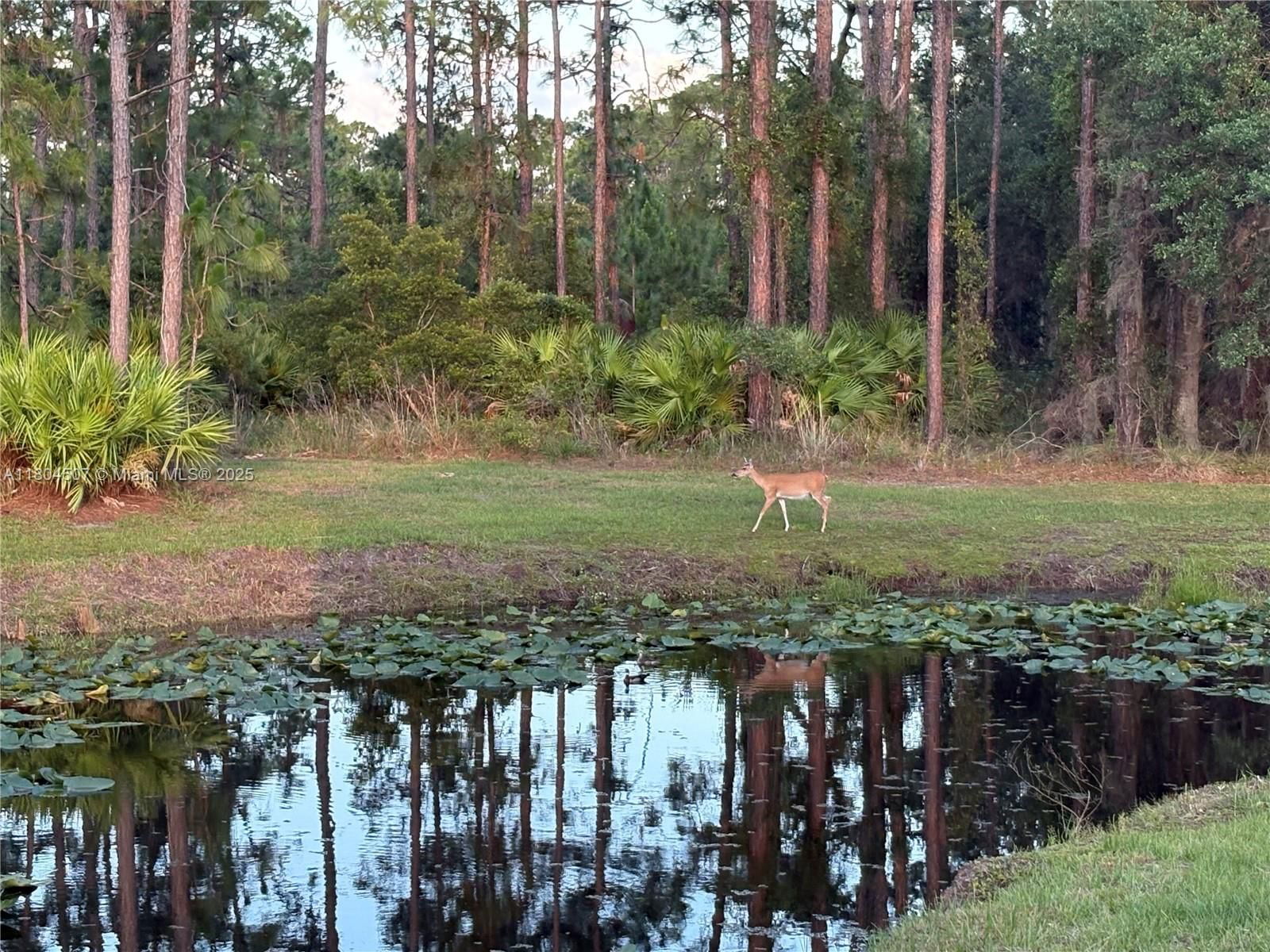 Real estate property located at 3324 Miller Avenue, Highlands, Footmans Trail, Lake Placid, FL