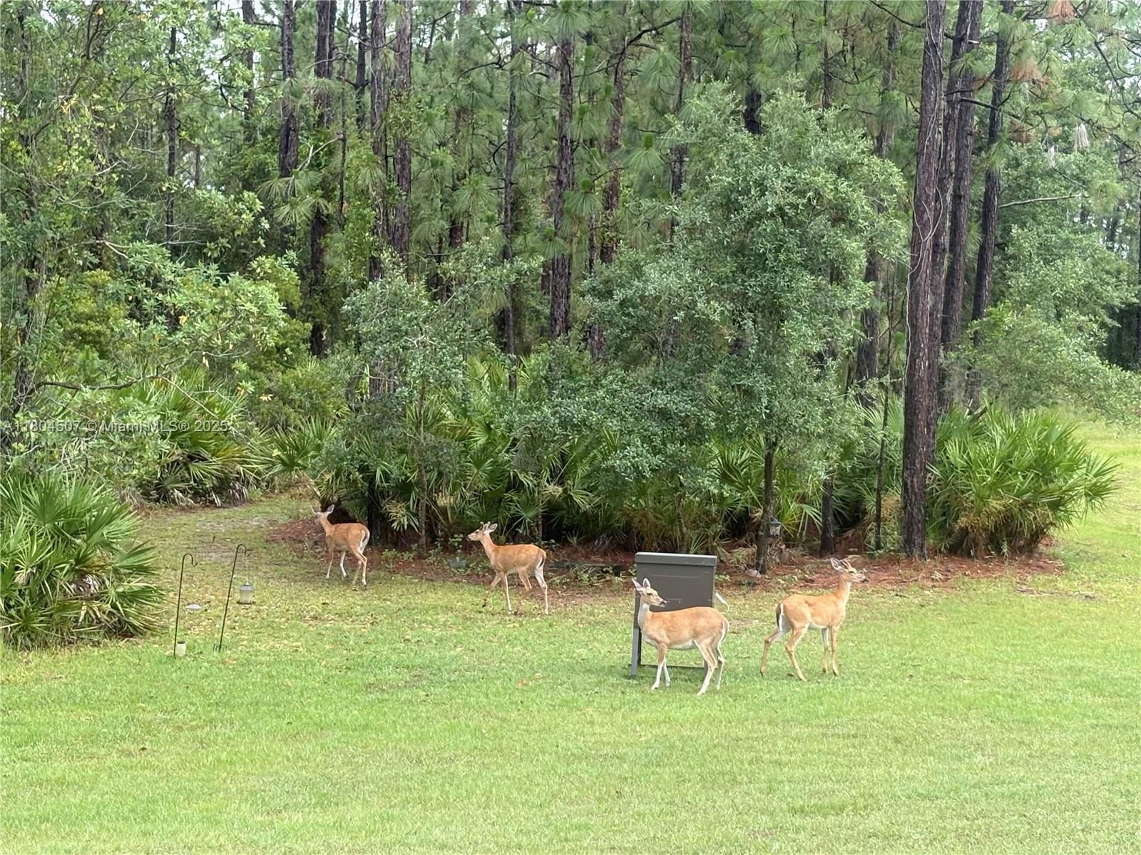 Real estate property located at 3324 Miller Avenue, Highlands, Footmans Trail, Lake Placid, FL