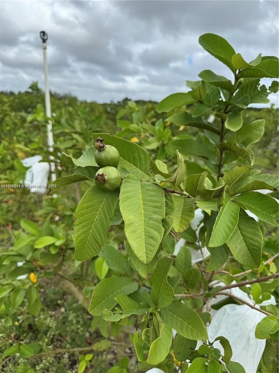 Real estate property located at 228xx 312 ST, Miami-dade, Homestead, FL