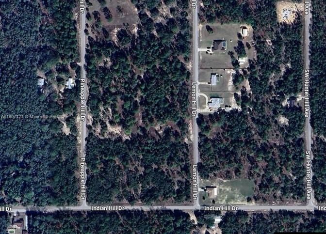 Real estate property located at 0 LEMON HILL DR, Marion, Rainbow Lakes Estate, Other City - In The State Of Florida, FL