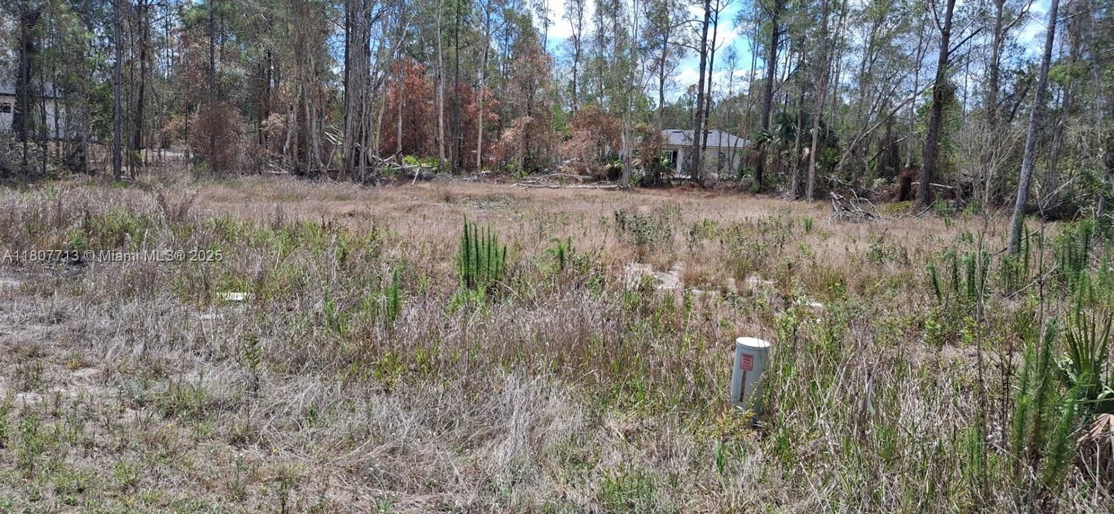 Real estate property located at 630 Ladd St, Lee, Lehigh Acres, Lehigh Acres, FL