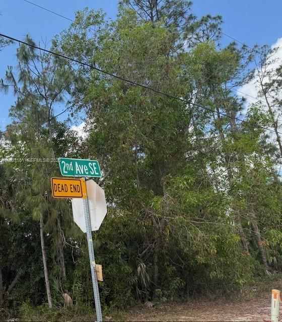 Real estate property located at Golden Gate St SE, Collier, Golden Gate Estates Unit, Naples, FL