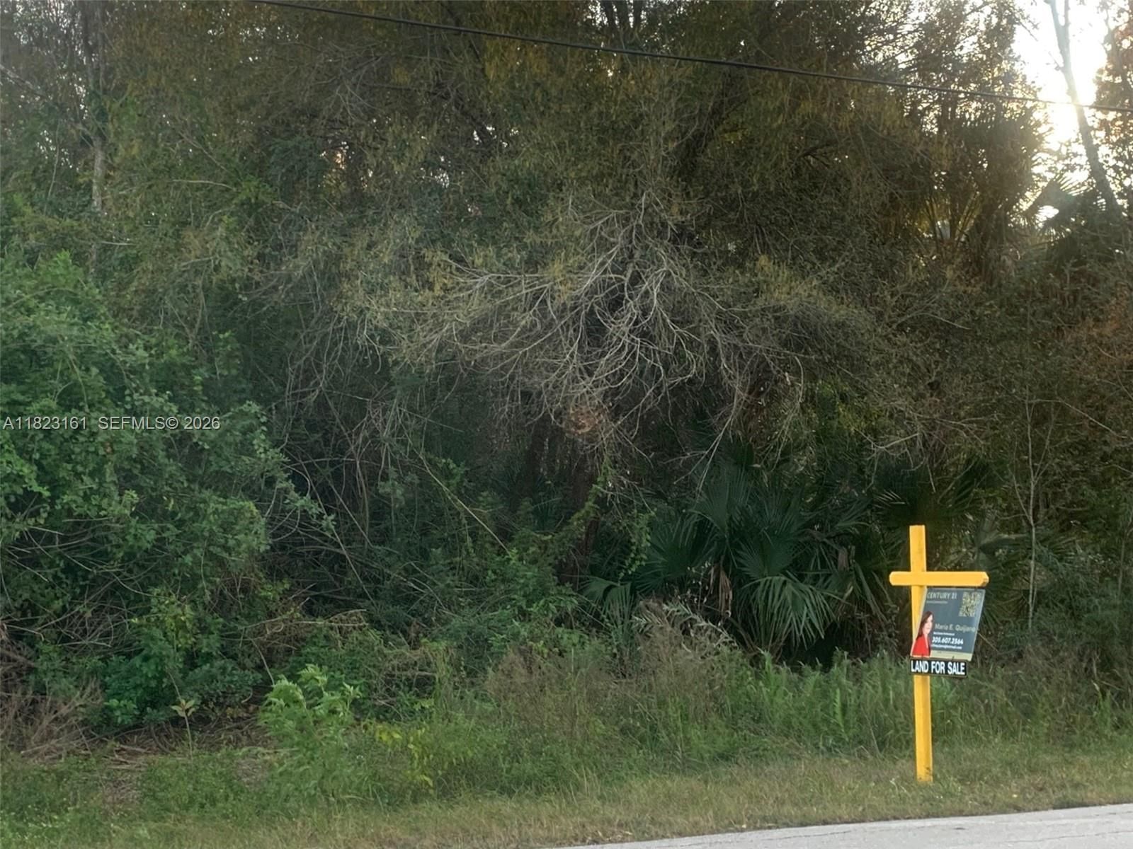 Real estate property located at Golden Gate St SE, Collier, Golden Gate Estates Unit, Naples, FL