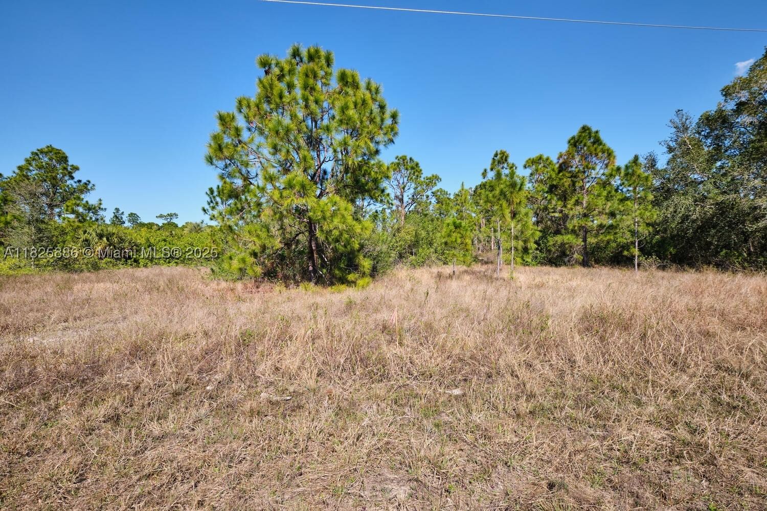 Real estate property located at 1025 WINTERS STREET, Lee, Lehigh Acres, Lehigh Acres, FL
