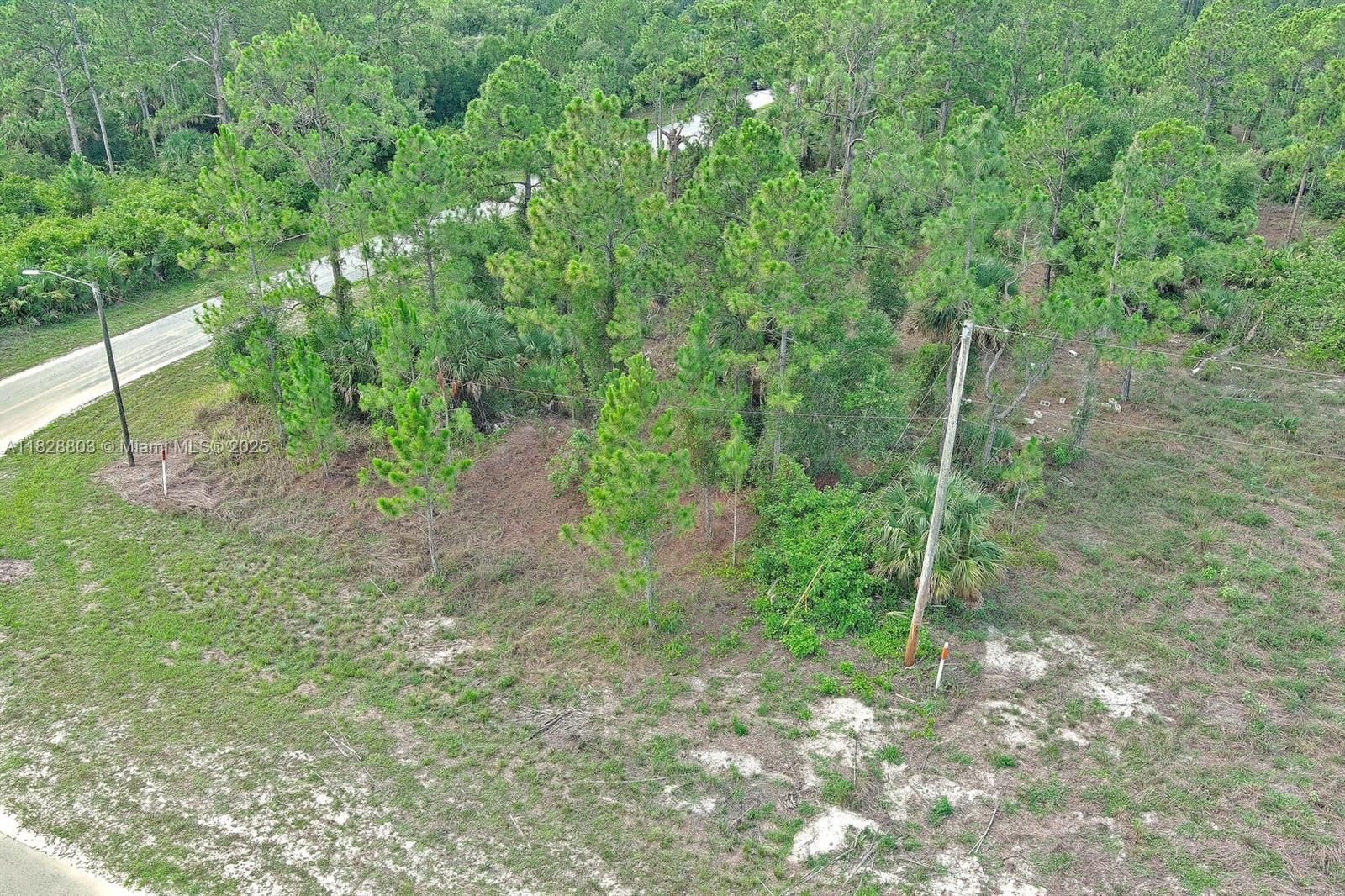 Real estate property located at 1246 SENTINELA BLVD, Lee, Lehigh Acres, Lehigh Acres, FL