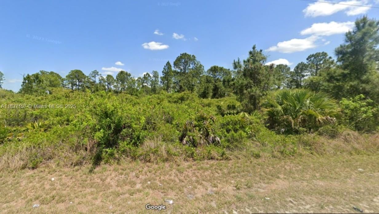 Real estate property located at 355 Long Ave, Lee, Lehigh Acres, Lehigh Acres, FL