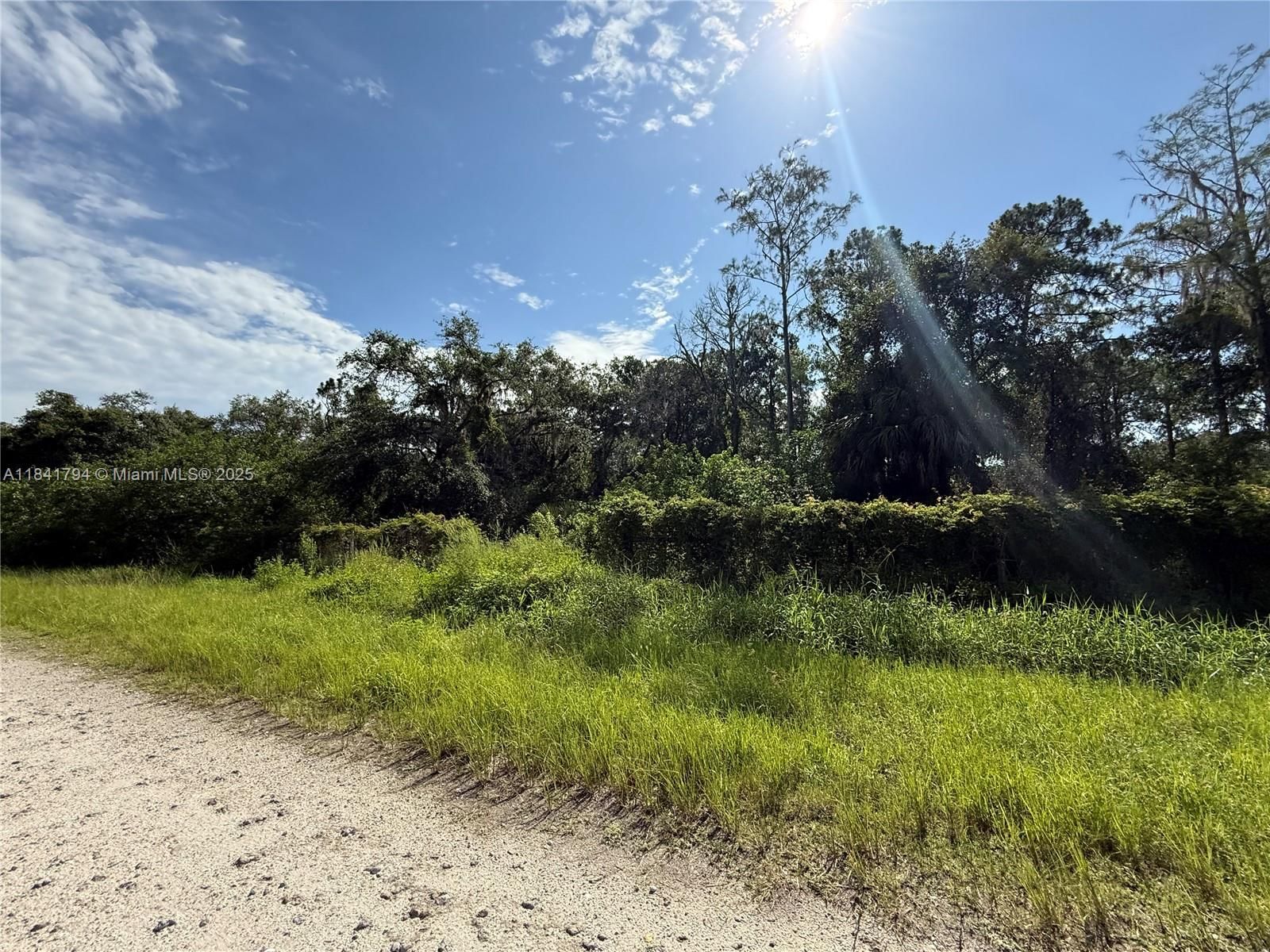 Real estate property located at 865 JINETE ST, Hendry, Montura Ranch Estates, Clewiston, FL