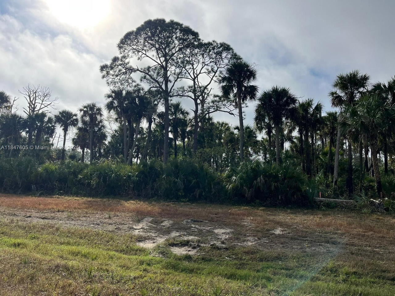 Real estate property located at 504 Nueva Ave, Hendry, Port Labelle Unit 11, La Belle, FL