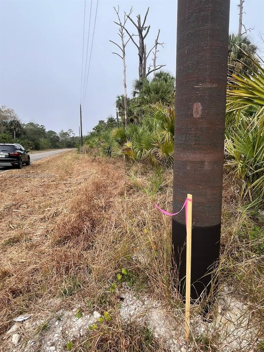 Real estate property located at 504 Nueva Ave, Hendry, Port Labelle Unit 11, La Belle, FL