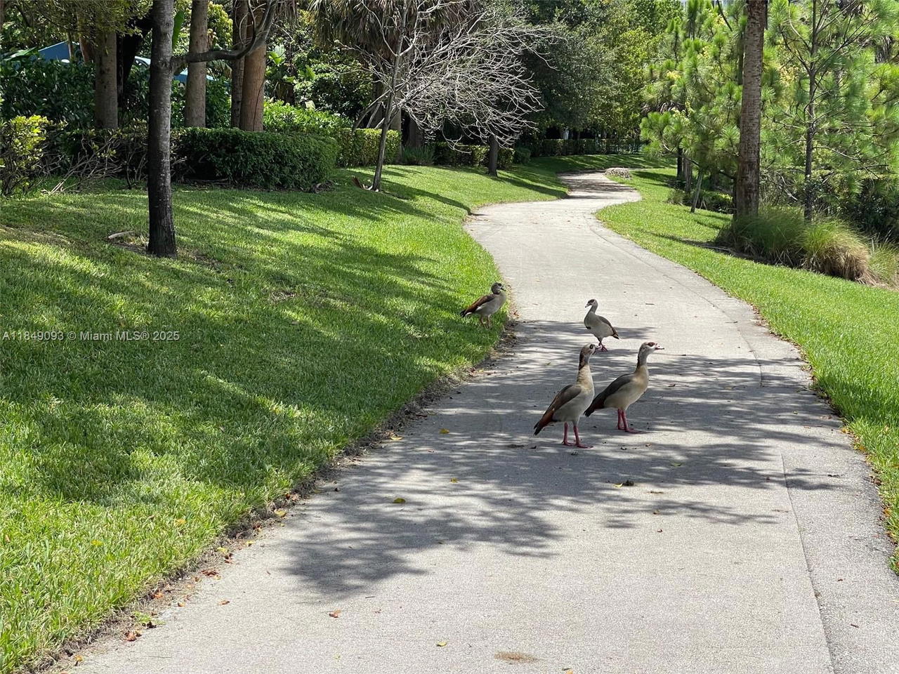 Real estate property located at 4330 Hillcrest Dr #519, Broward, Hillcrest East No 23 Cond, Hollywood, FL