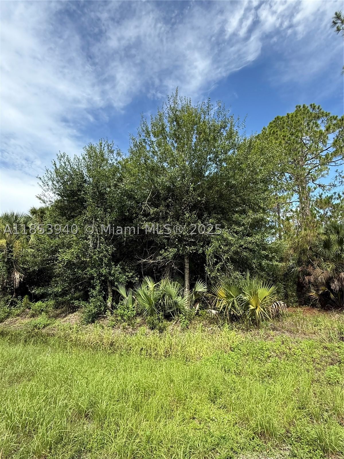 Real estate property located at 250 ROMERO ST, Hendry, Montura Ranch Estates, Clewiston, FL