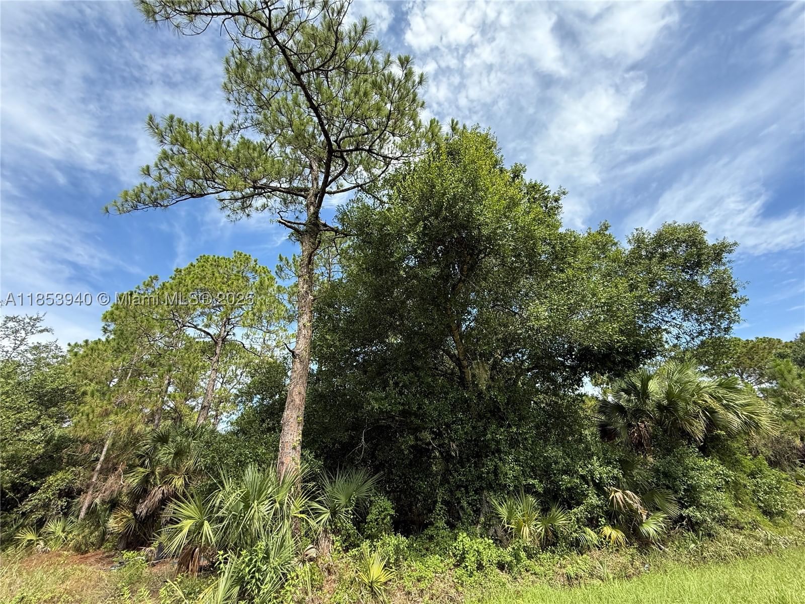 Real estate property located at 250 ROMERO ST, Hendry, Montura Ranch Estates, Clewiston, FL
