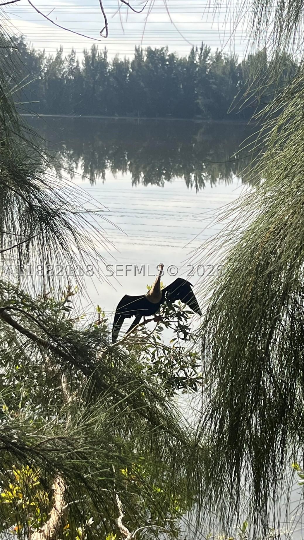 Real estate property located at 5387 40th Ave #103, Broward, Bel-aire Section Six Cond, Dania Beach, FL