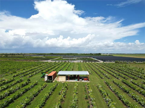 Real estate property located at 304000 SW 228th ve, Miami-dade, Homestead, FL