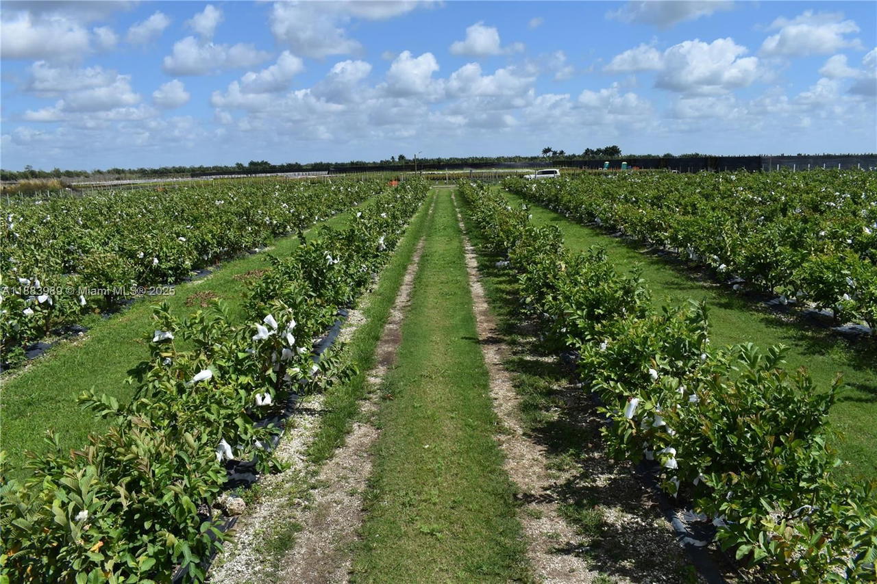 Real estate property located at 304000 SW 228th ve, Miami-dade, Homestead, FL