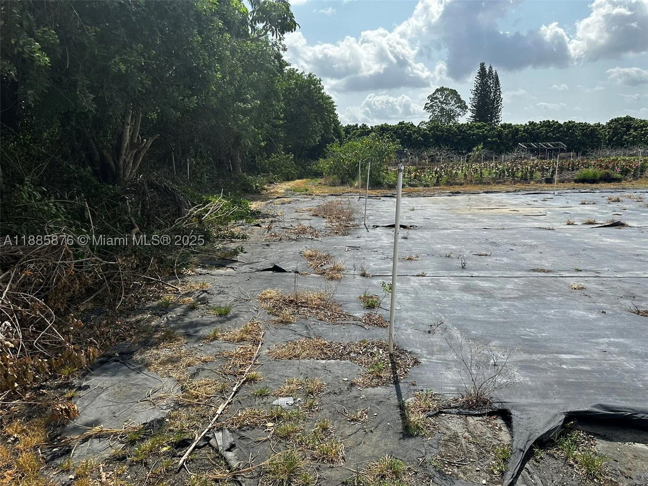 Real estate property located at 19815 256 ST, Miami-dade, Redland, Homestead, FL