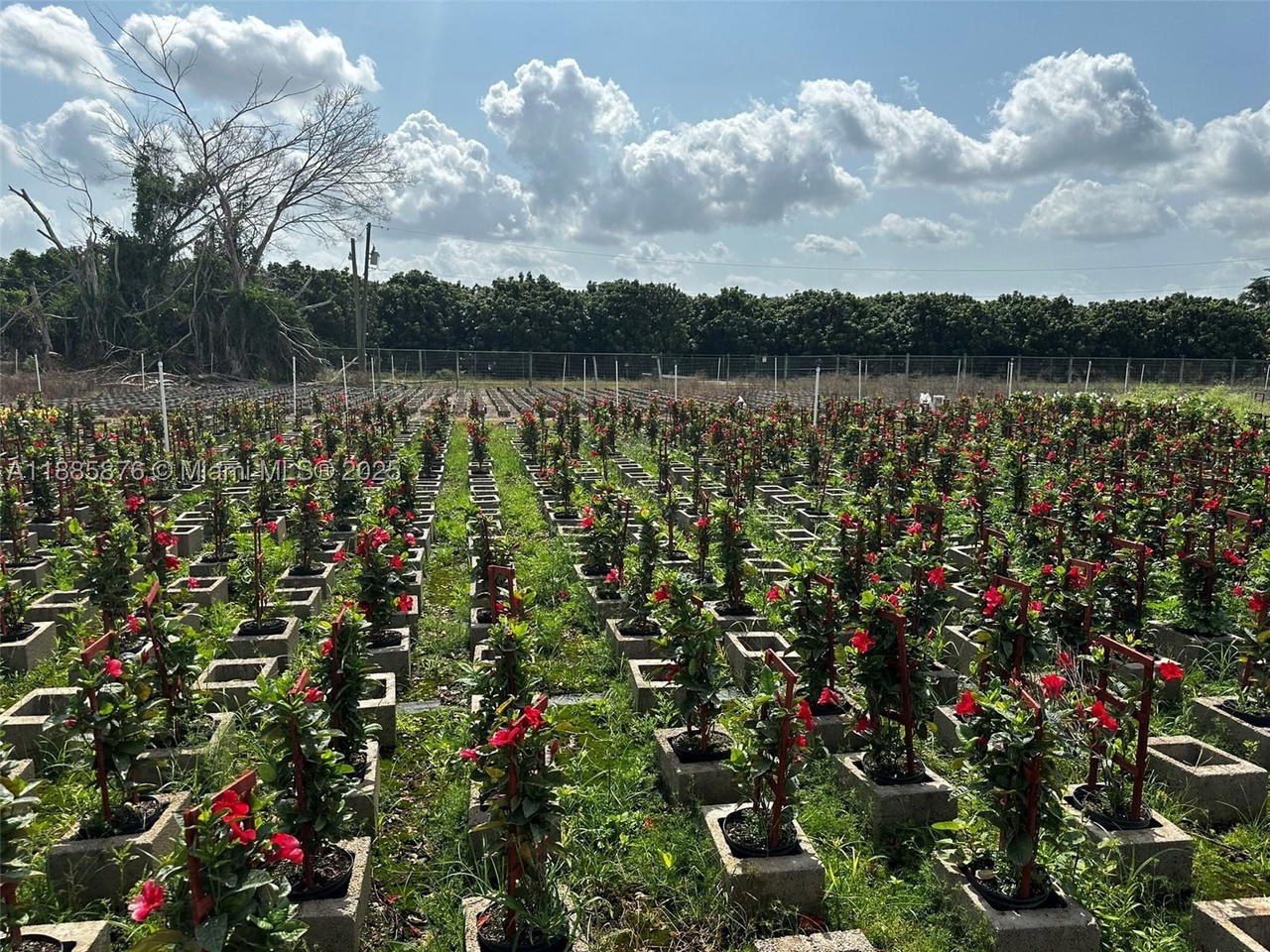 Real estate property located at 19815 256 ST, Miami-dade, Redland, Homestead, FL