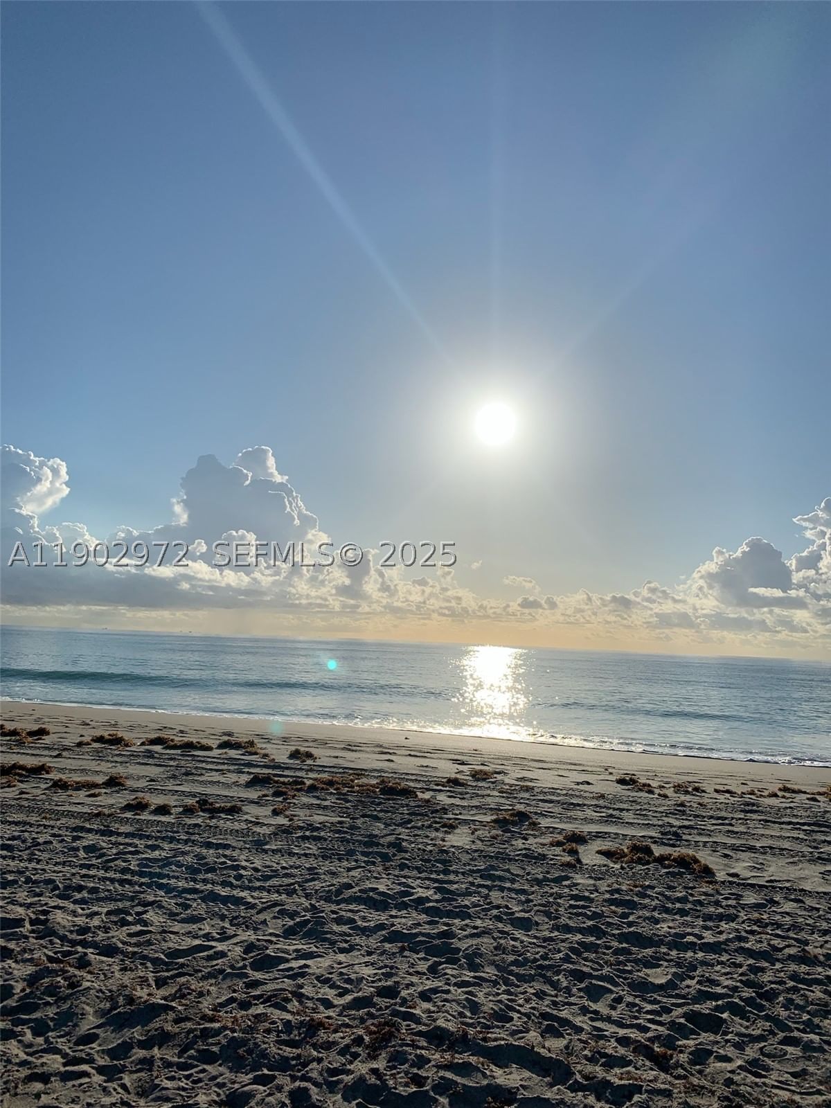 Real estate property located at 1501 Arthur St #1, Broward, Westchester Arms Co-op, Hollywood, FL