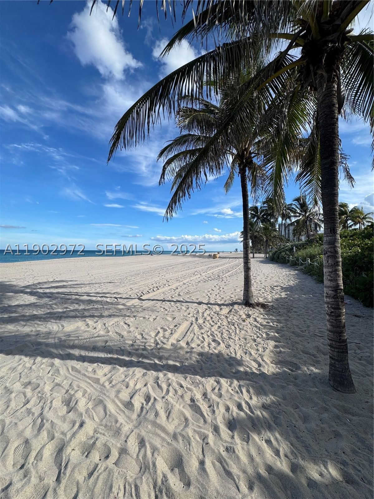 Real estate property located at 1501 Arthur St #1, Broward, Westchester Arms Co-op, Hollywood, FL