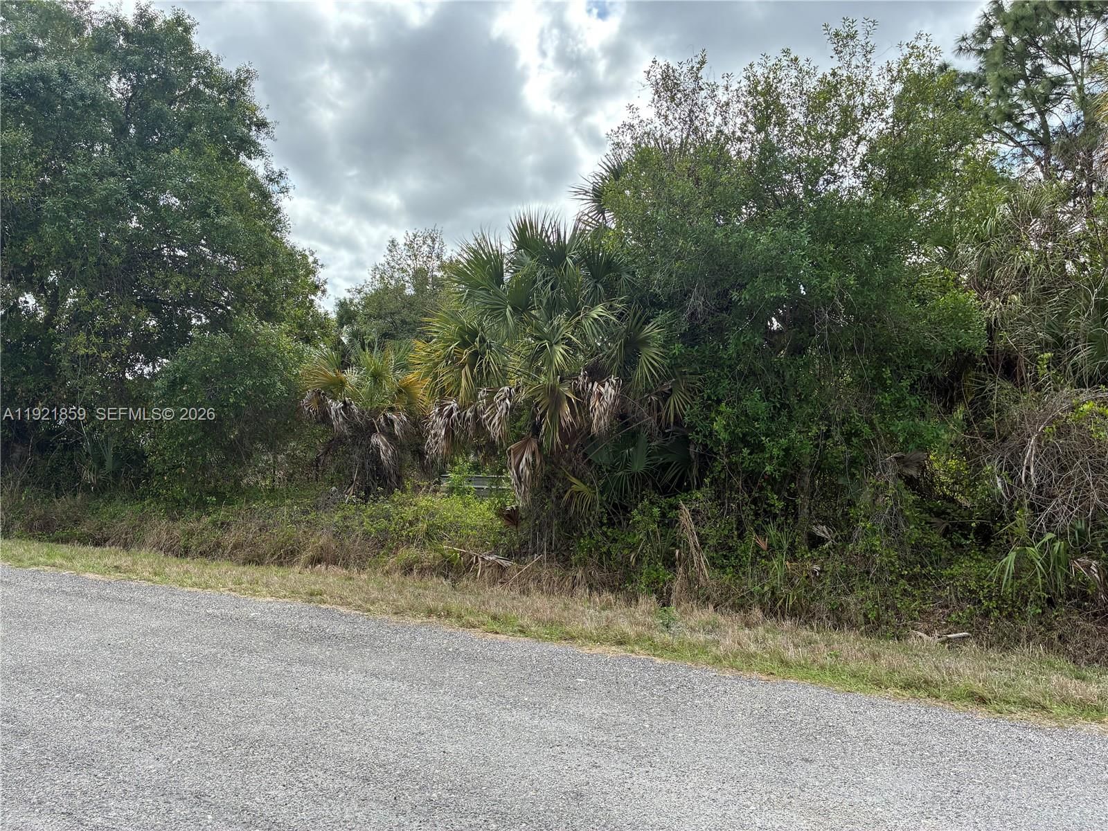 Real estate property located at 360 Palomino Str, Hendry, Montura, Clewiston, FL