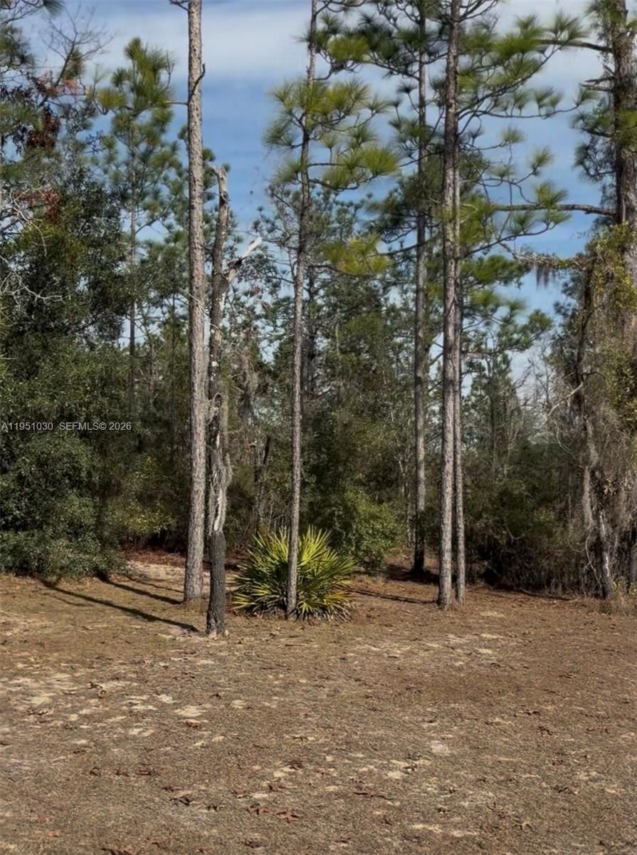 Real estate property located at 000 NE 121ST ST, Levy, Forest Park Unit 3 Phase, Other, FL